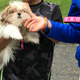 Image for article titled No Good Boy Deserves This
